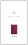 ESV Value Thinline Bible Trutone Raspberry Floral